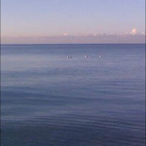 Meet your Posher, Kristin